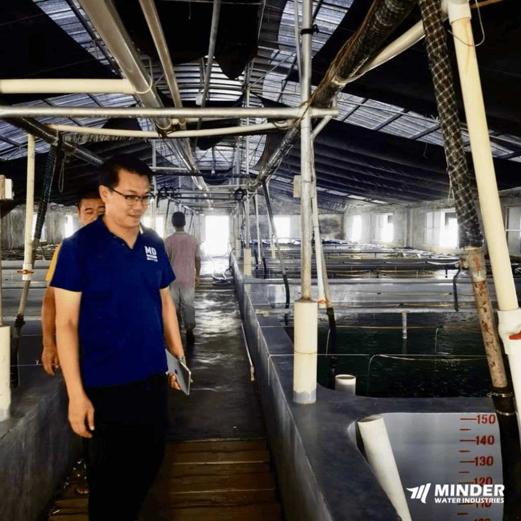 Fish Farming Industry with UF-MS Bead Filter